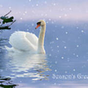 Snow Swan Ii Poster