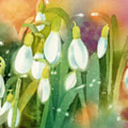 Snowdrops - Magical Lanterns Poster
