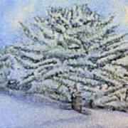 Snowfall Trees Poster