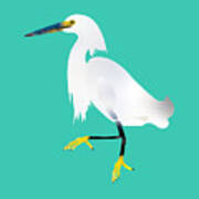 Snowy Egret, Bird, Illustration, Poster