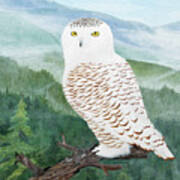 Snowy Owl Poster