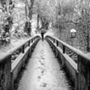 Snowy Walk In Black And White Poster