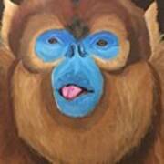 Snub Nose Monkey-back At You Poster