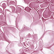 Soft Pink Succulent Plants Garden Watercolor Interior Art Vi Poster