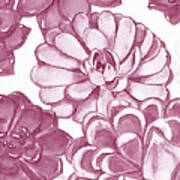 Soft Pink Succulent Plants Garden Watercolor Interior Art Vii Poster