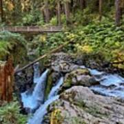 Sol Duc Falls 2 Poster