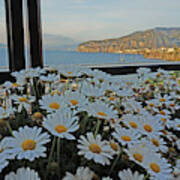 Sorrento - View With Flowers Poster