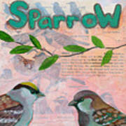 Sparrows Poster