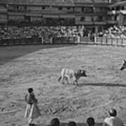 Spectators Watching Bullfighting In A Stadium, Spain Poster