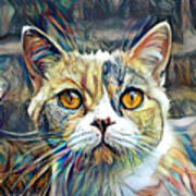 Spotted Cat Portrait Abstract Poster