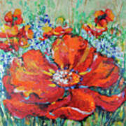 Spring Poppies Poster