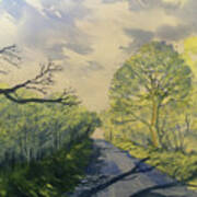 Spring Shadows On Woldgate Poster