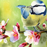 Spring Twittering Poster