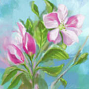 Springtime Apple Blossoms Poster
