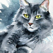 Stanford Maine Coon Cat Painting Poster