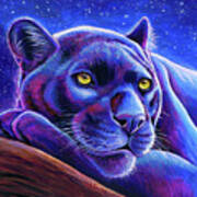 Stargazing - Colorful Black Leopard Poster