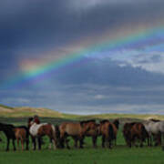 Steppe Peace Poster