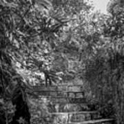 Steps Near Cenote Chichen Itza Poster