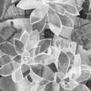 Succulent Mirage 1 In Black And White Poster