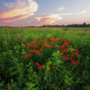 Summer Color On The Prairie Poster