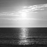 Sun And Seagulls Over The Atlantic - Black And White Poster