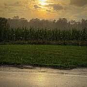 Sun Rain Clouds Corn Poster