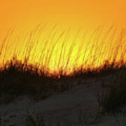 Sun Setting Behind Dunes Poster