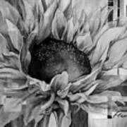 Sunflower Canopy In Black And White Poster