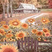 Sunflower Farmhouse Barn Poster