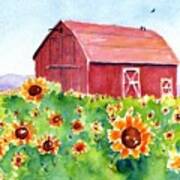 Sunflower Field And Barn Poster