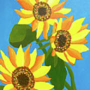 Sunflowers Three Poster