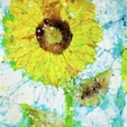 Sunlit Sunflower Poster