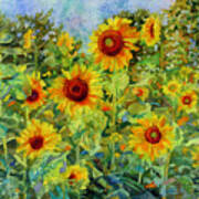 Sunny Meadow-sunflowers Poster