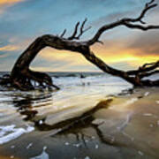 Sunrise Arch At Jekyll Island Poster