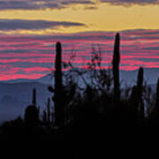 Sunrise - Saguaro National Park Poster