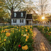 Sunset At The Taliaferro-cole Garden Poster