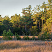 Sunset On Core Creek Marsh In North Carolina Poster