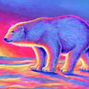 Sunset Polar Bear Poster