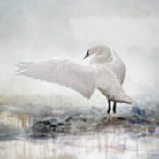 White Swan Poster