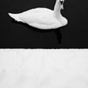 Swan - Winter Minimalism Poster