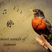 Sweet Sounds Of Summer Poster