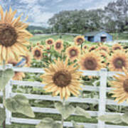Sweet Summer Country Sunflowers Poster