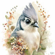 Sweet Tufted Titmouse Poster