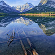 Swiftcurrent Driftwood Poster