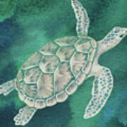 Swimming Free In Teal Green Blue Sea Turtle Poster
