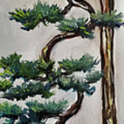 Tall Cascading Bonsai Tree Poster