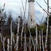 Tawas Point Lighthouse And Birch Trees Poster