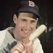 Ted Williams The Kid Poster