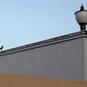 Terrace Lamp And The Black Bird Poster