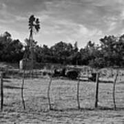 Texas Hill Country Black And White Poster